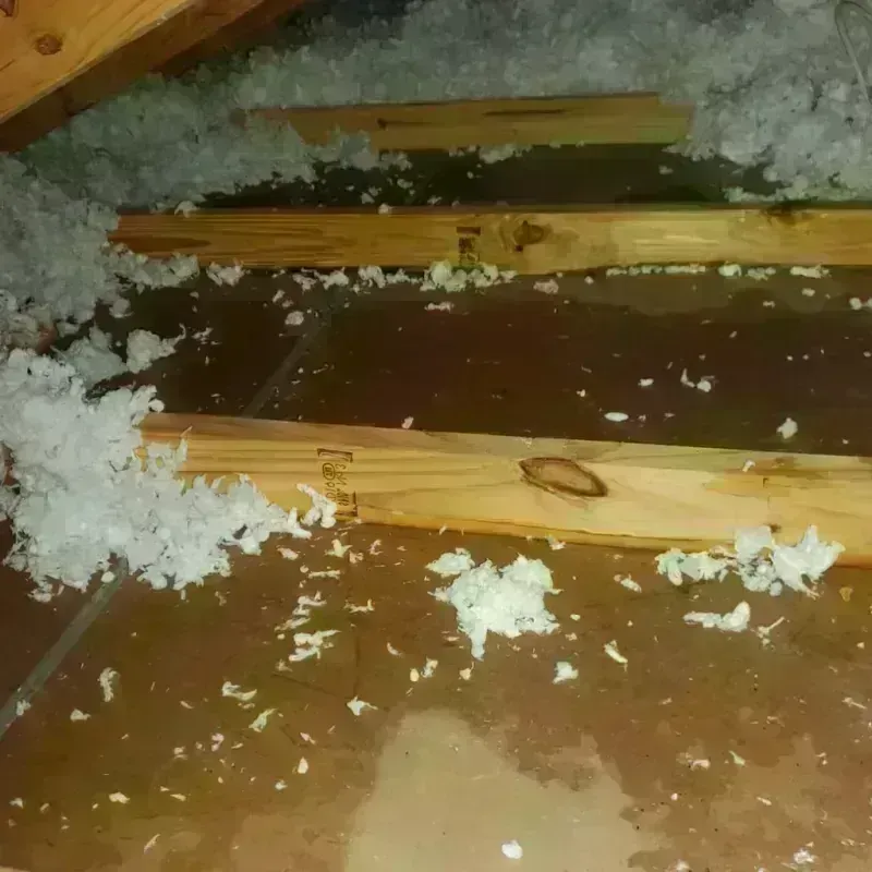 Attic Water Damage in Rollingwood, CA