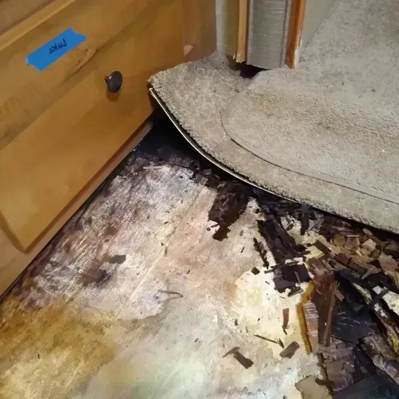 Wood Floor Water Damage in Rollingwood, CA